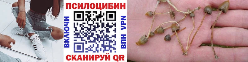 нарко площадка состав  Котельники  Галлюциногенные грибы Magic Shrooms  даркнет сайт 
