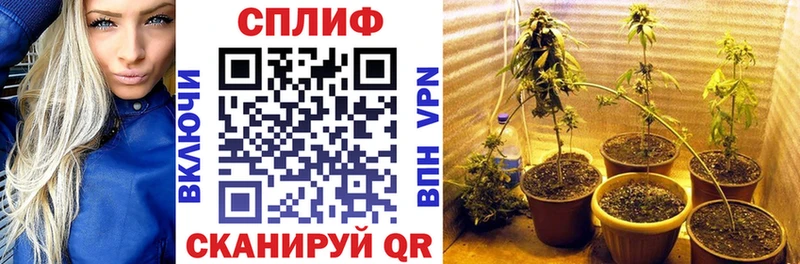 Бошки марихуана Bruce Banner  наркошоп  Котельники 